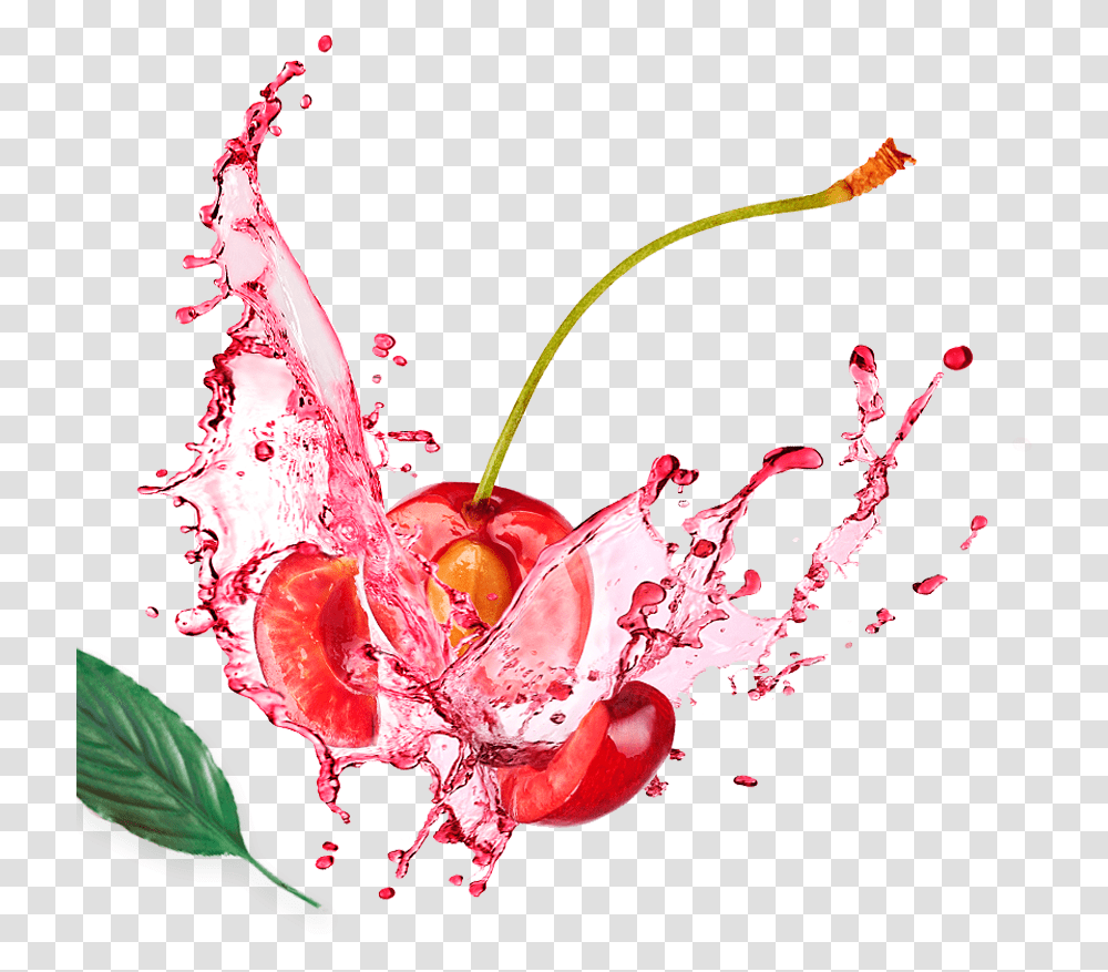 About Austria Juice Illustration, Plant, Fruit, Food, Cherry Transparent Png