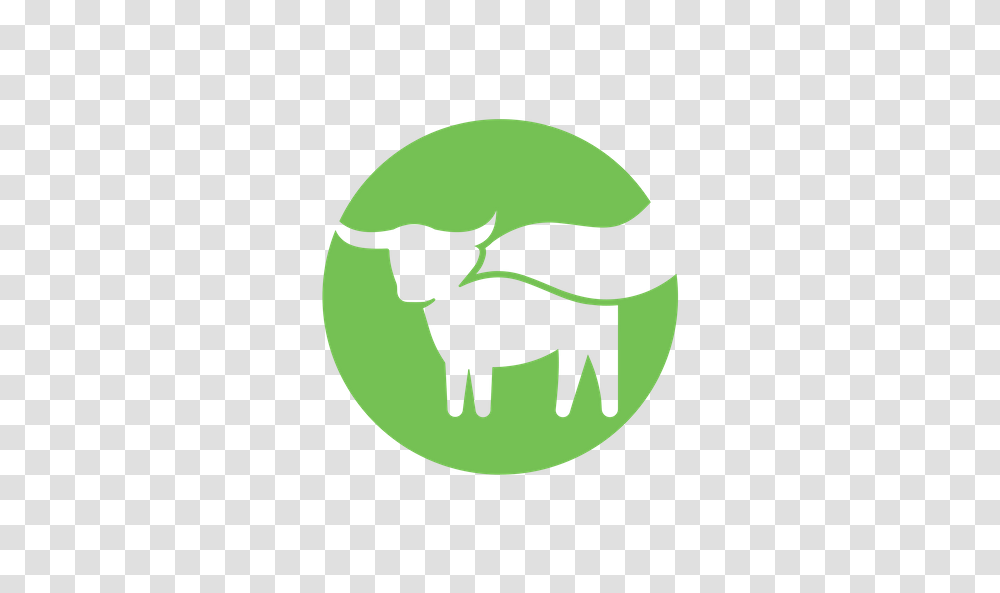 About Beyond Meat Inc Logo, Symbol, Trademark, Emblem Transparent Png