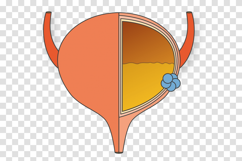 About Bladder Cancer Bladder Cancer, Sunglasses, Accessories, Accessory, Vehicle Transparent Png