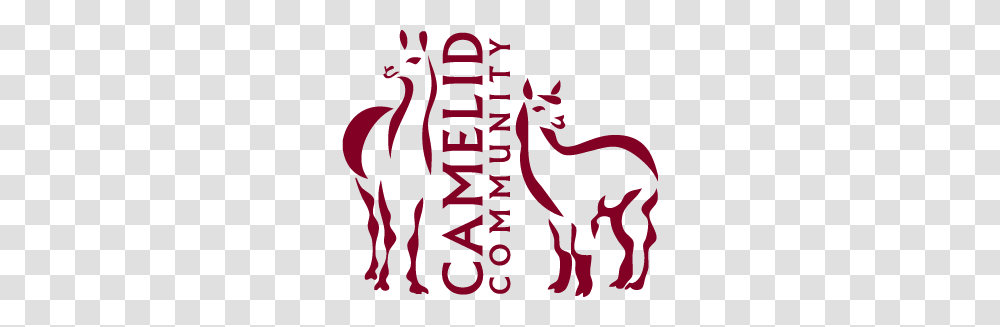 About Camelid Community, Alphabet, Logo Transparent Png