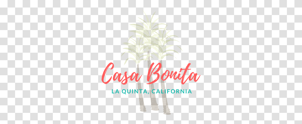 About Casa Bonita Fresh, Plant, Tree, Graphics, Art Transparent Png