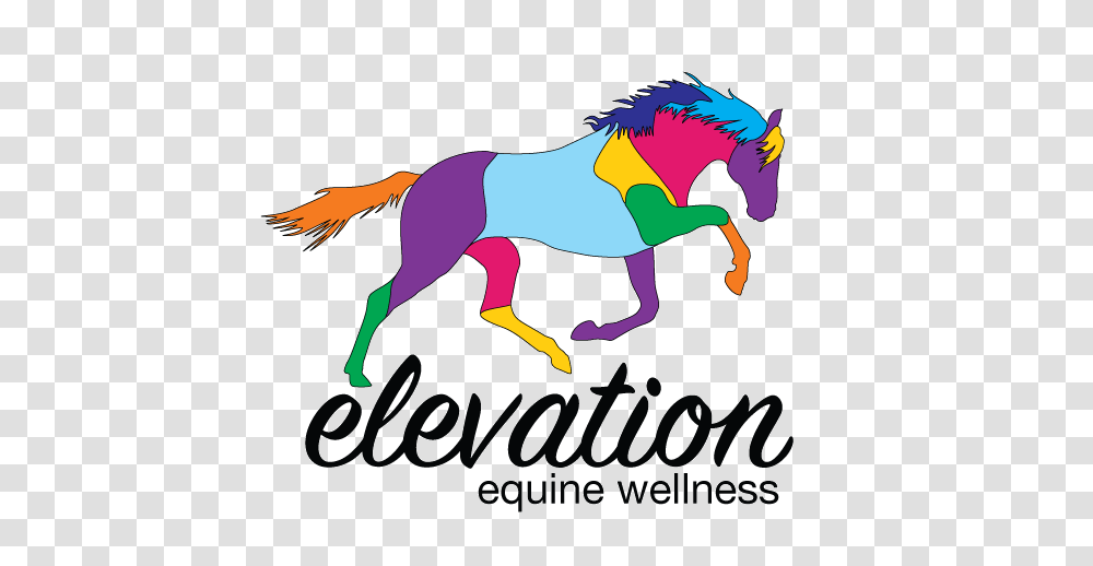 About Contact Elevation Equine Bodywork, Horse, Mammal, Animal, Sea Transparent Png