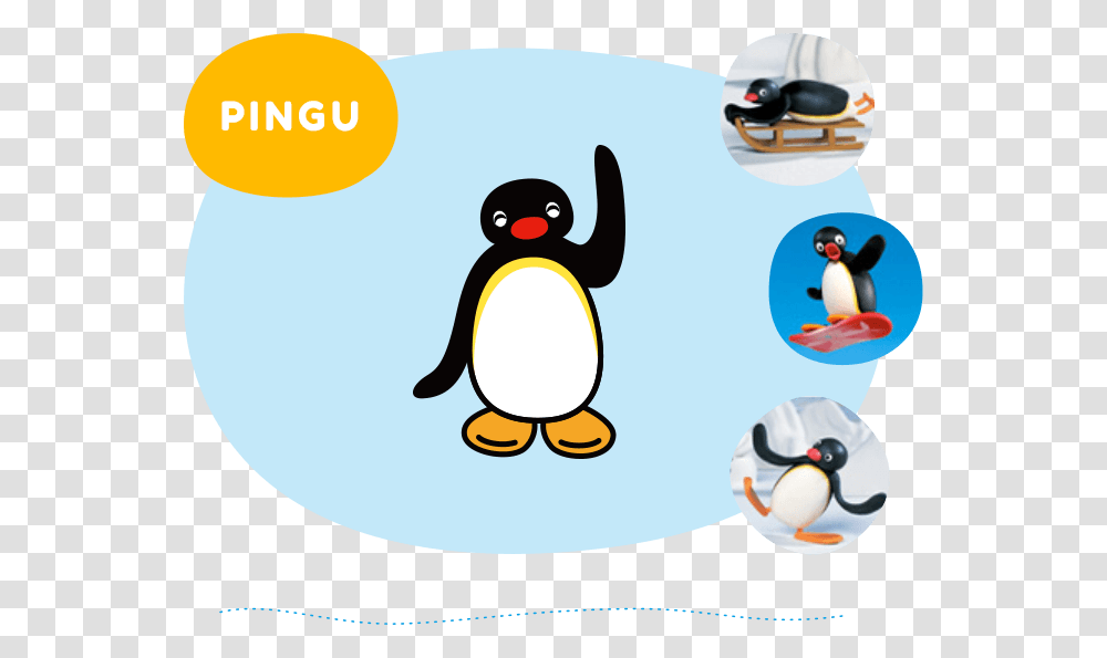 About English Site, Bird, Animal, Penguin, King Penguin Transparent Png
