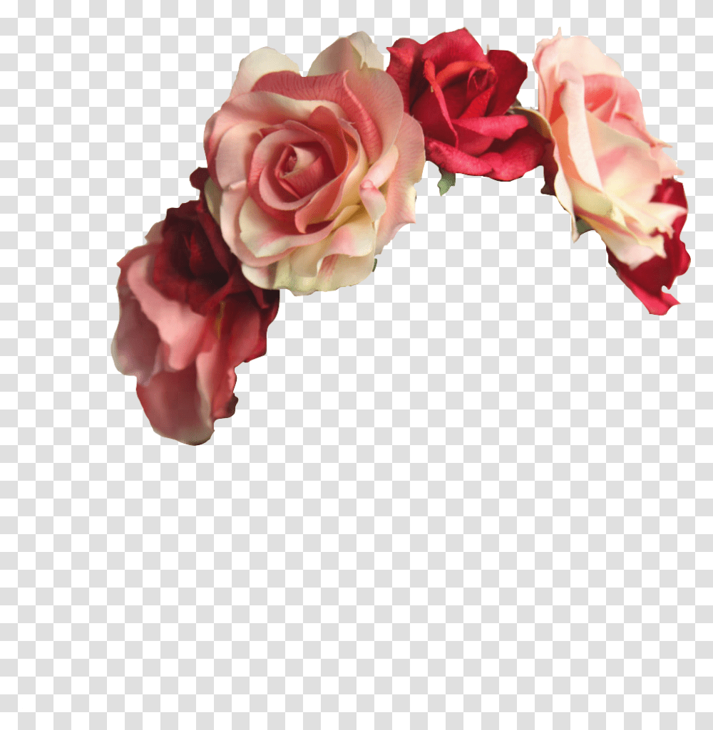 About Flower In Images Flower Crown, Plant, Blossom, Petal, Hair Slide Transparent Png