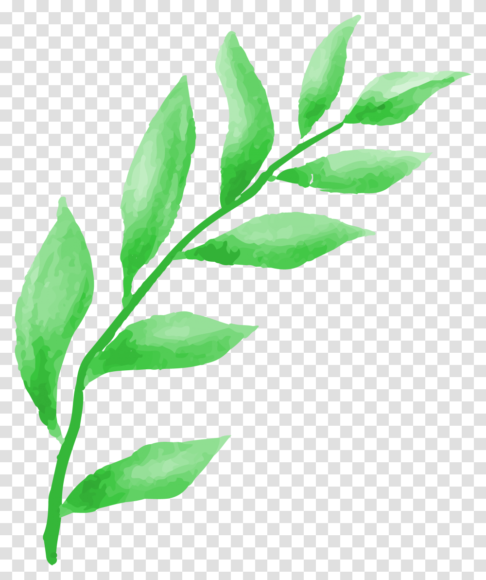 About Greenfingers Landscaping Twig, Leaf, Plant, Vase, Jar Transparent Png