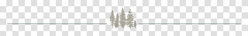 About Jackson Hole Hideout Bed And Breakfast, Tree, Plant, Fir, Abies Transparent Png