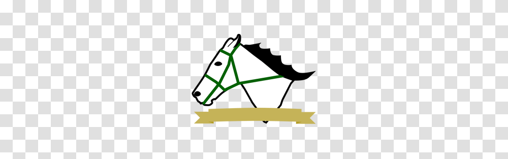 About, Mammal, Animal, Horse, Andalusian Horse Transparent Png