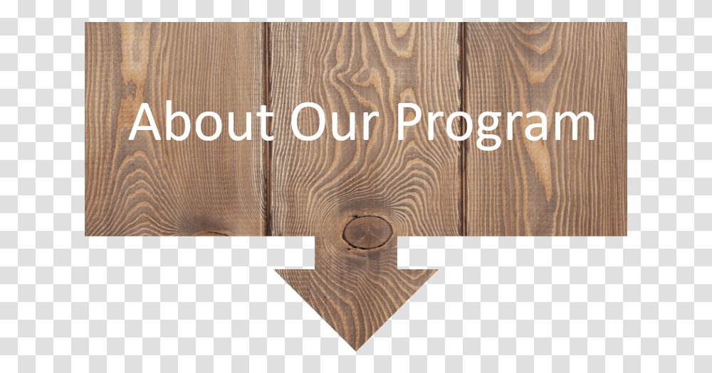About Our Program Banner People Think I Do Meme, Wood, Tabletop, Furniture, Plywood Transparent Png