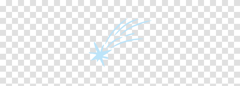 About Shooting Star, Bird, Animal, Stencil Transparent Png