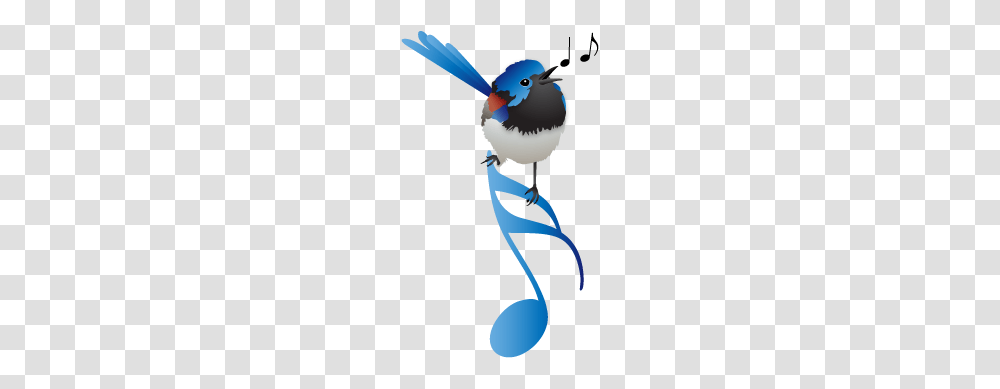 About Sight Singing School, Jay, Bird, Animal, Blue Jay Transparent Png