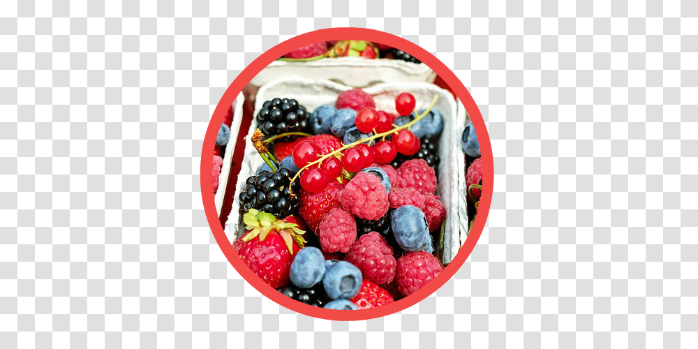 About Strawberry Lodge, Plant, Blueberry, Fruit, Food Transparent Png