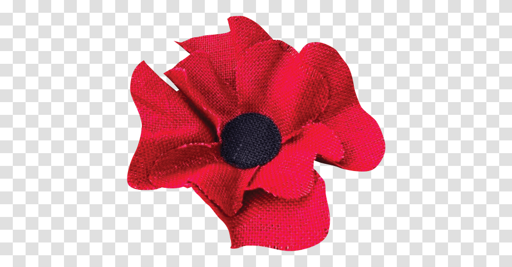 About The School Poppy, Petal, Flower, Plant, Blossom Transparent Png