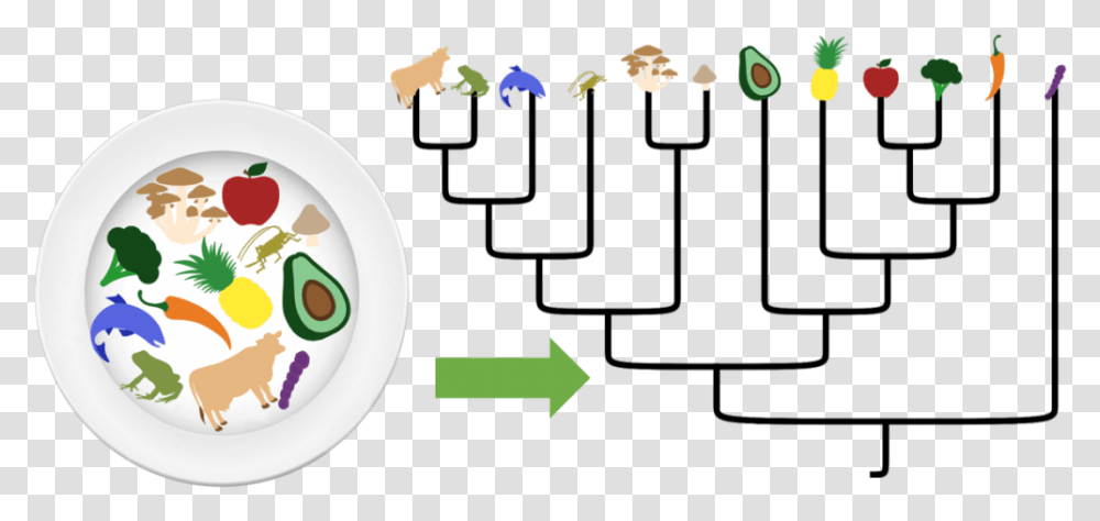 About The Tree Of Life Tasting Fm Logistic, Meal, Food, Dish, Bowl Transparent Png