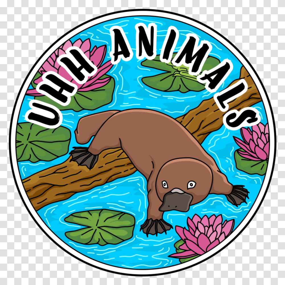 About - Uhhanimals Platypus, Mammal, Wildlife, Otter, Label Transparent Png