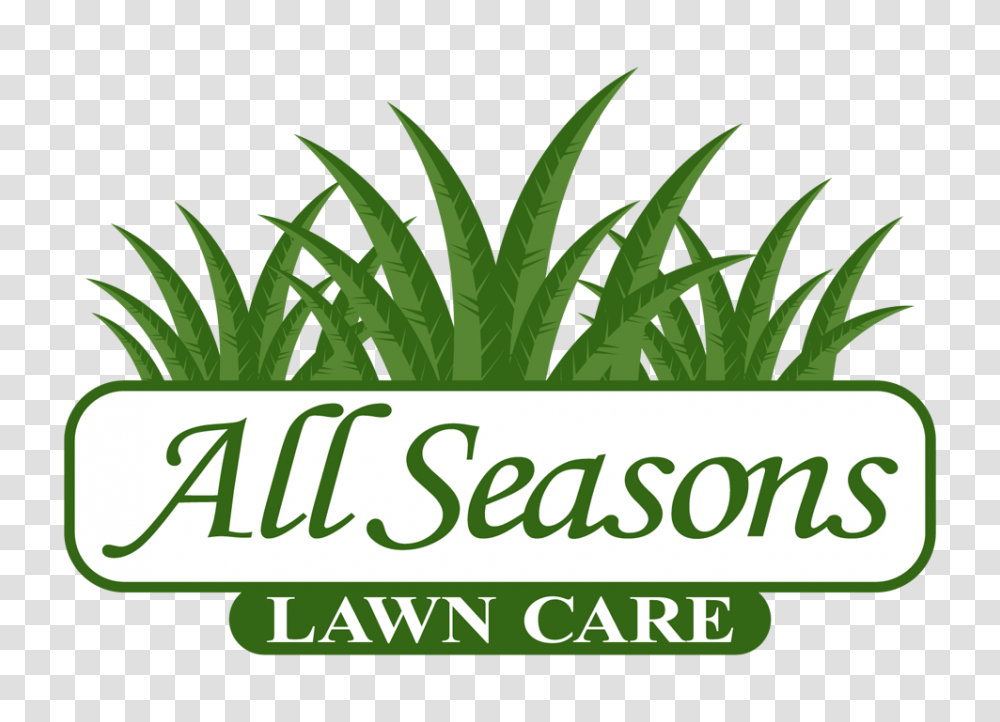 About Us All Seasons Lawn Care Akron Ohio, Leaf, Plant, Green, Vegetation Transparent Png