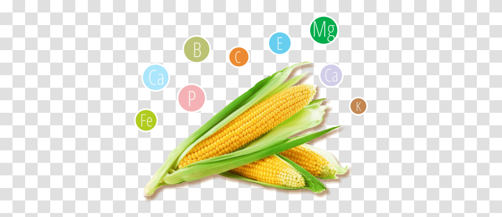 About Us Gluten Free Corn Tubes Balila, Plant, Vegetable, Food Transparent Png