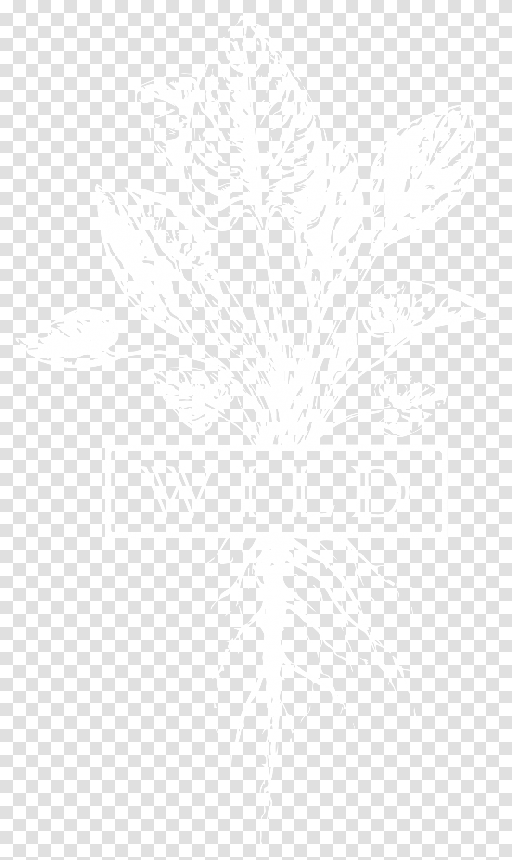 About Us Icon Thinx Underwear, Graphics, Art, Floral Design, Pattern Transparent Png