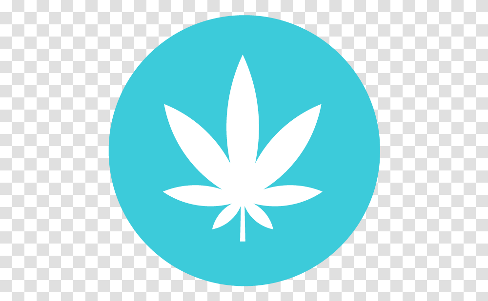 About Us Landsteiner White Widow, Plant, Symbol, Flower, Blossom Transparent Png