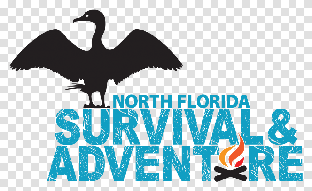About Us North Florida Water Bird, Poster, Advertisement, Animal Transparent Png