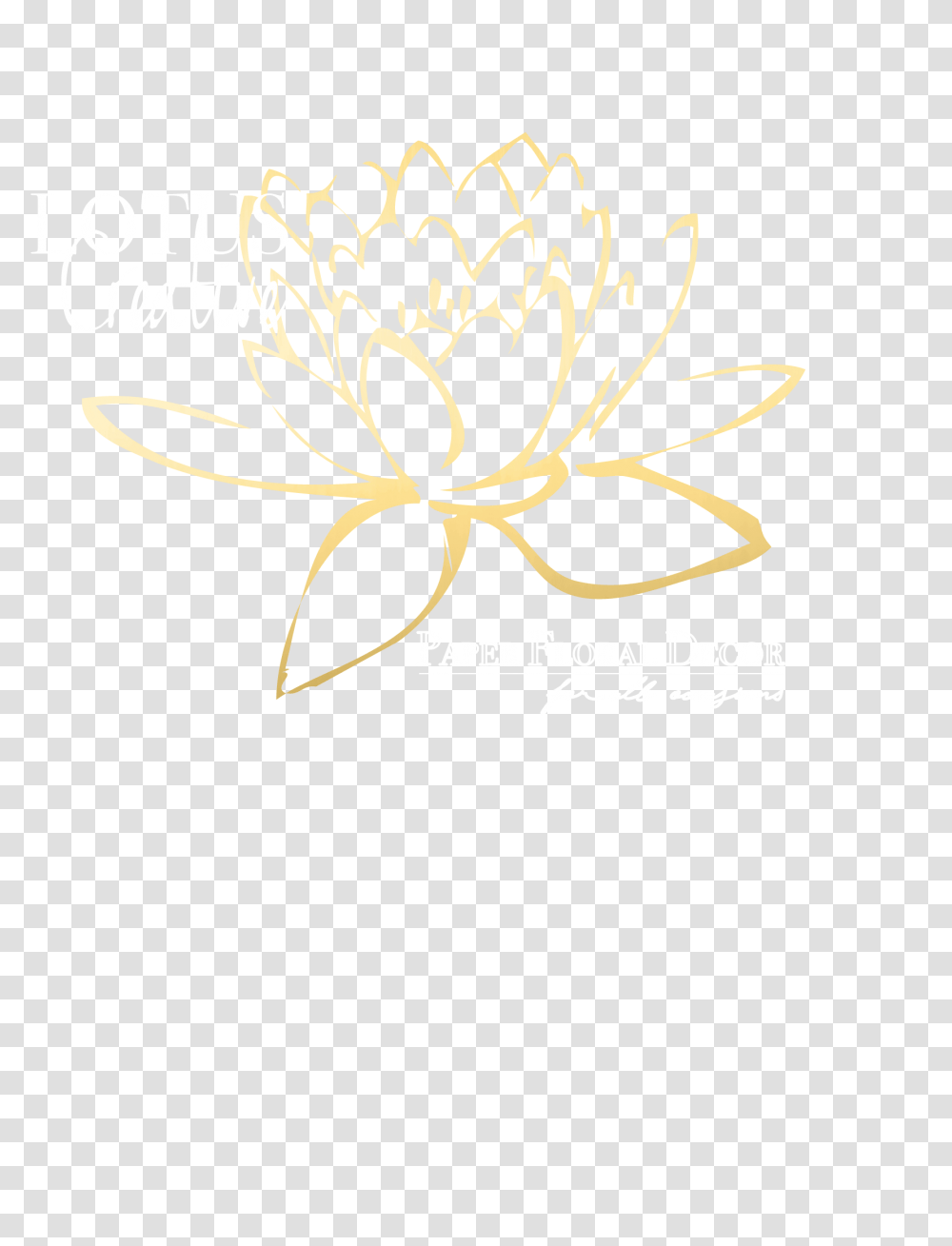 About Us, Paper, Flower, Plant, Blossom Transparent Png