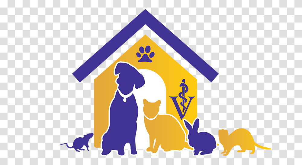 About Us, Pet, Animal, Mammal, Cat Transparent Png