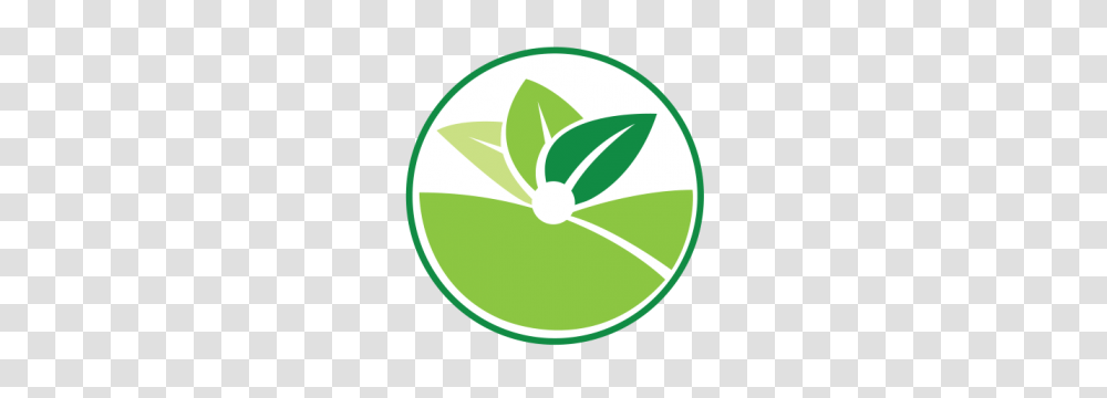 About Us Roxas Sigma Agriventures Inc, Tennis Ball, Sport, Sports, Plant Transparent Png