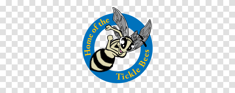 About Us Sabin Logo, Animal, Wasp, Bee, Insect Transparent Png