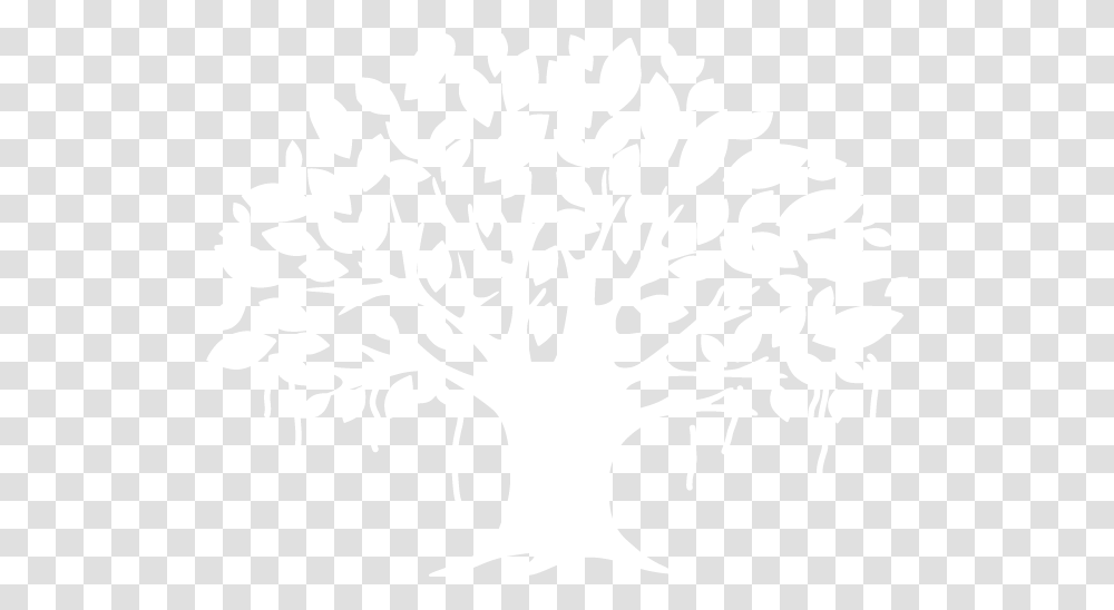 About Us Siri Banyan Tree White, Stencil, Plant, Flower, Blossom Transparent Png