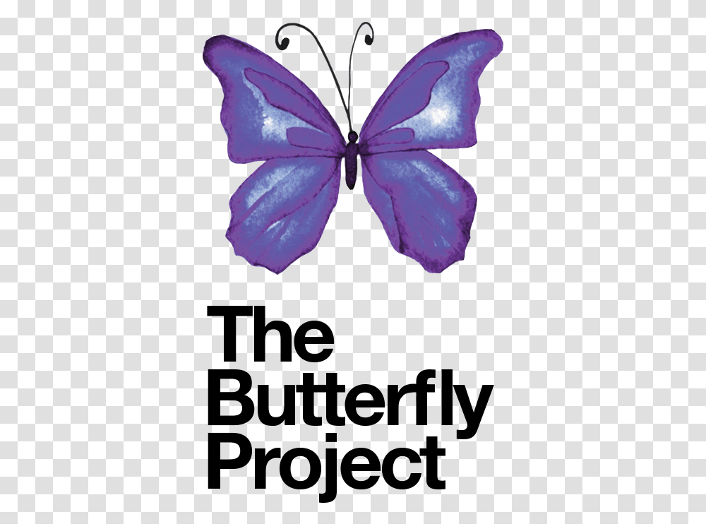 About Us The Butterfly Project Purple Butterfly Project, Petal, Flower, Plant, Geranium Transparent Png
