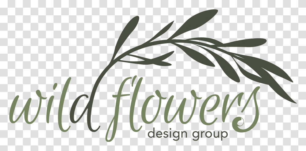 About Us Wild Flowers Design Group Language, Text, Calligraphy, Handwriting Transparent Png