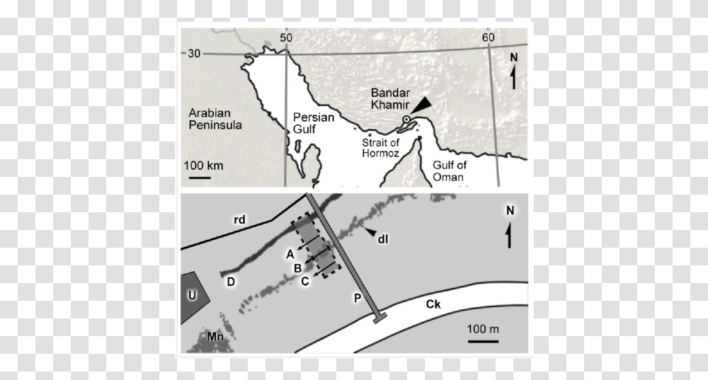 Above Bandar Khamir Map, Vegetation, Plant, Plot, Bird Transparent Png