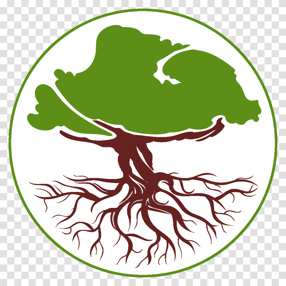 Above Below Tree Care Winnipeg Tree Consultant Isa Certified, Plant, Root Transparent Png