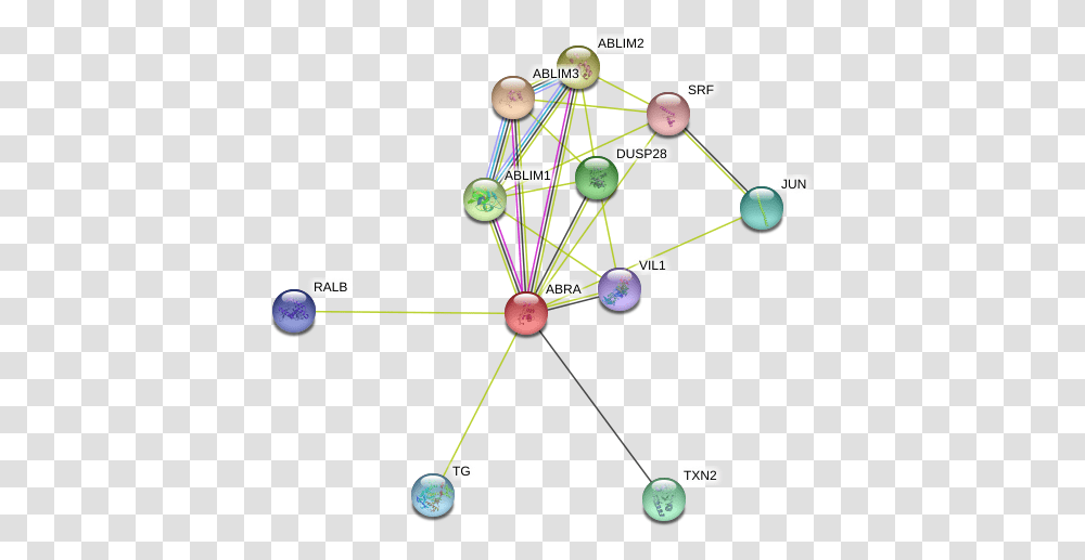Abra Protein Circle, Network, Astronomy, Outer Space, Universe Transparent Png
