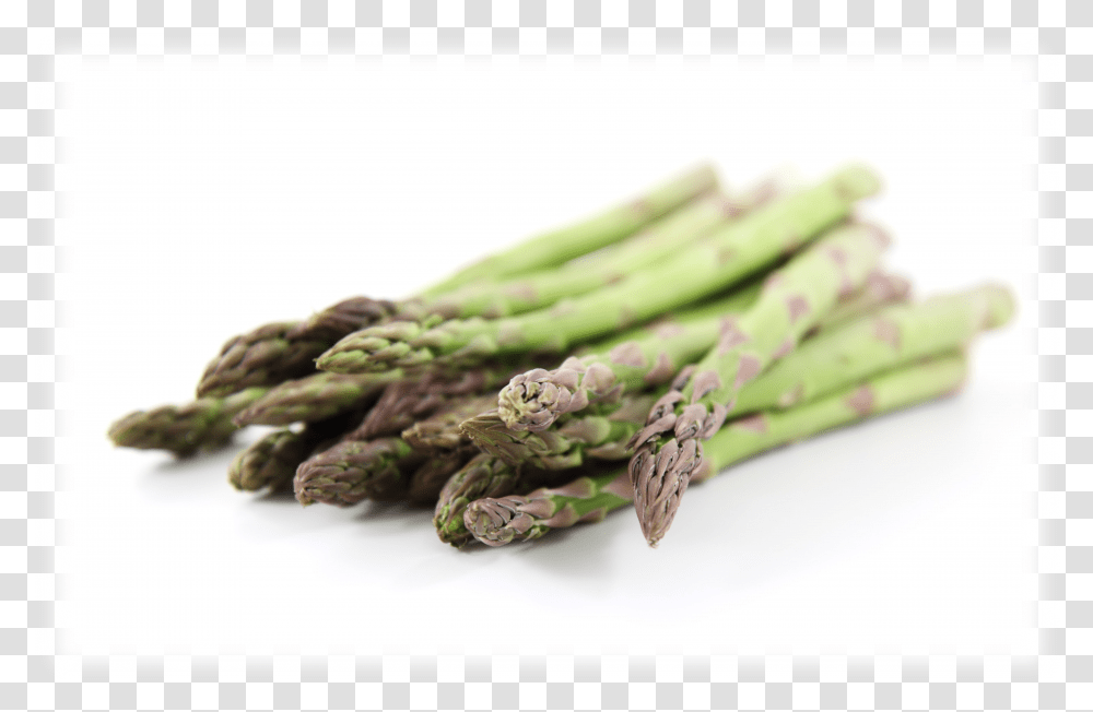 Absolutely Interesting Facts For Asparagus Lovers Verdura En Forma De Palo Transparent Png