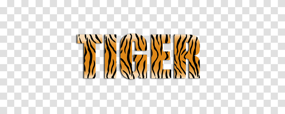 Abstract Text, Label, Zebra, Fire Transparent Png