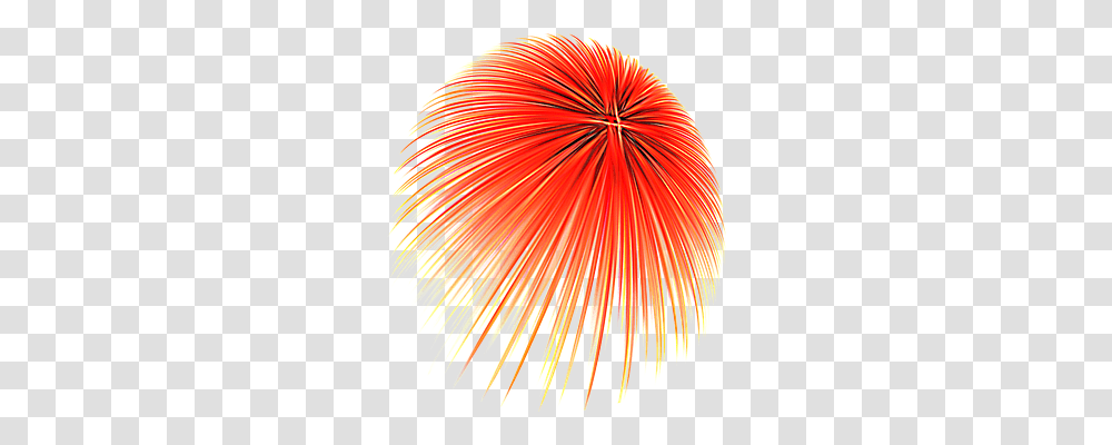 Abstract Nature, Outdoors, Fireworks, Night Transparent Png