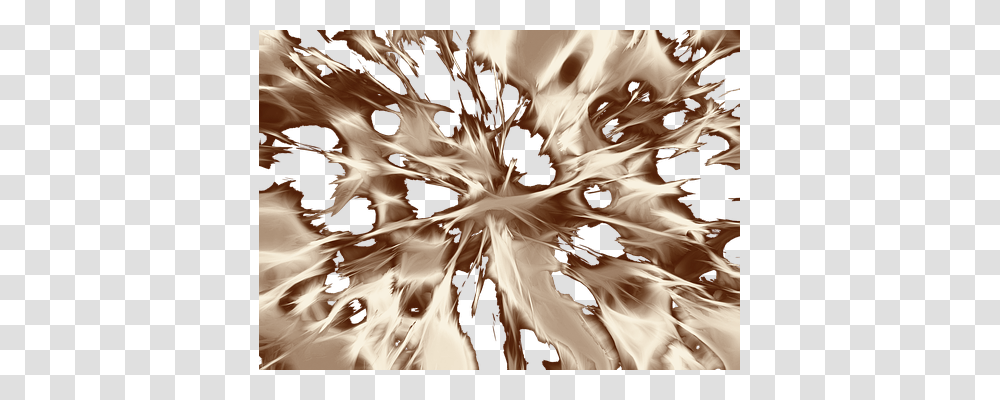 Abstract Ornament, Pattern, Fractal Transparent Png