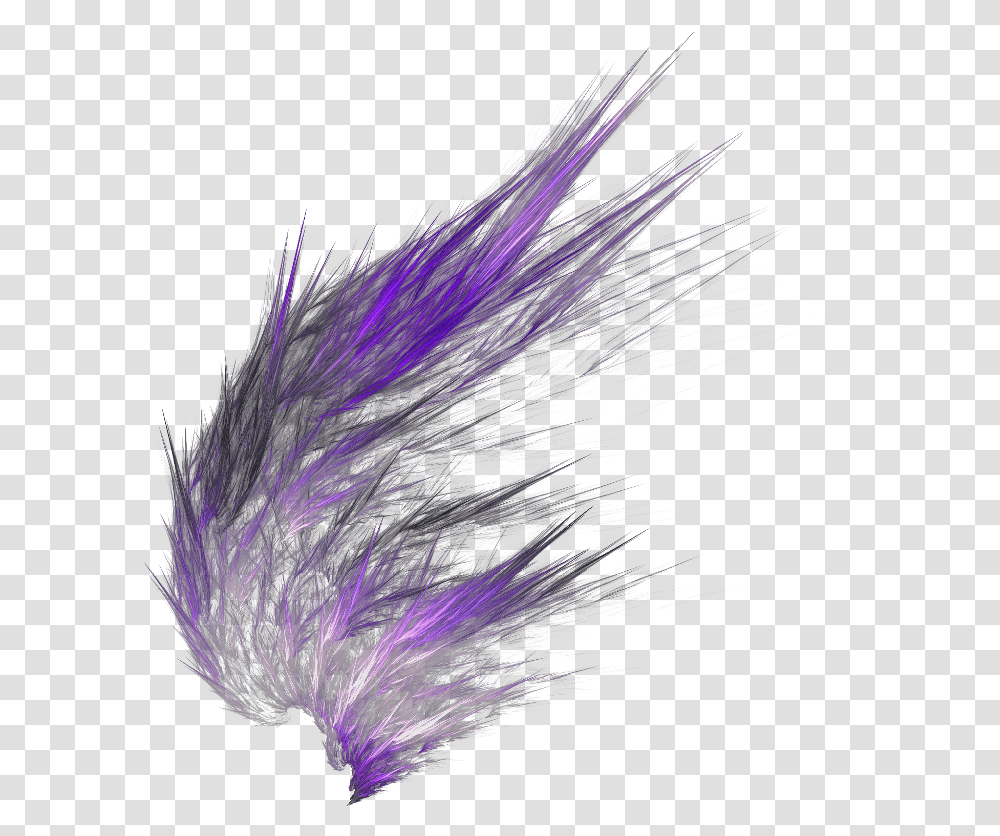 Abstract Wings, Purple, Lighting, Bird, Cat Transparent Png