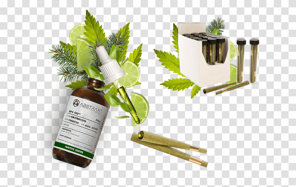 Abstrax Develops New Terpene Infused Rolling Papers Cones Herbal, Plant, Leaf, Potted Plant, Vase Transparent Png