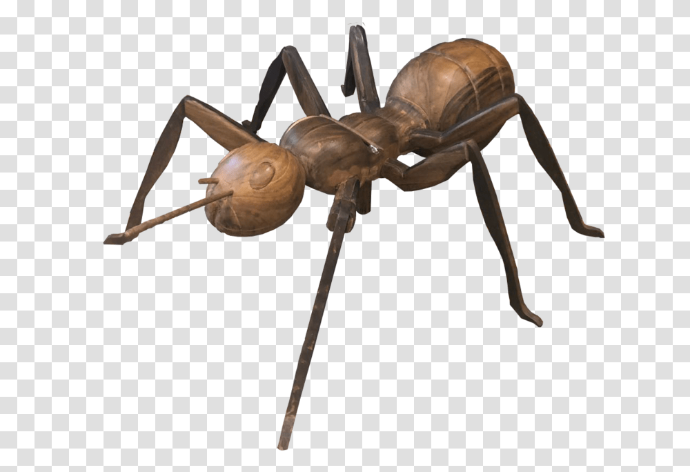 Ac 85 Ant, Invertebrate, Animal, Insect, Spider Transparent Png