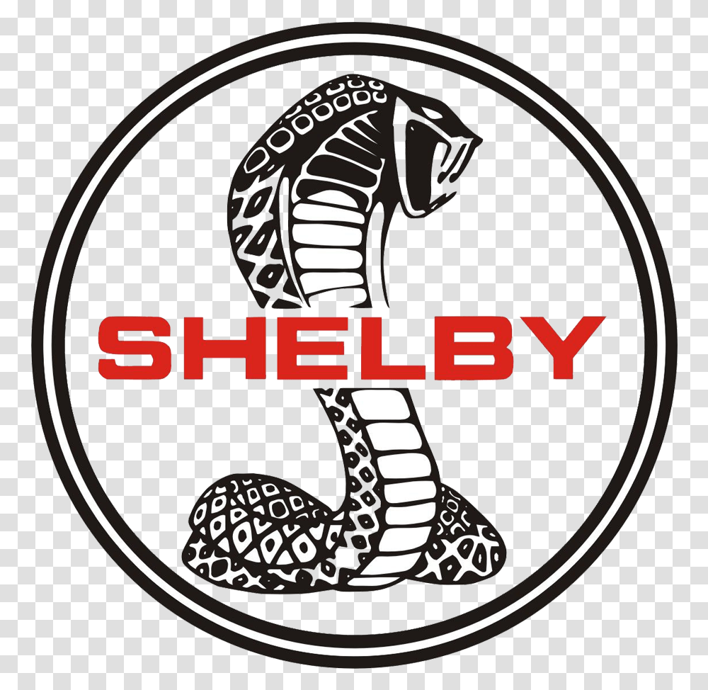 Ac Concept Shelby Car Cobra Ford Cars Clipart Logo Shelby, Trademark, Emblem, Star Symbol Transparent Png
