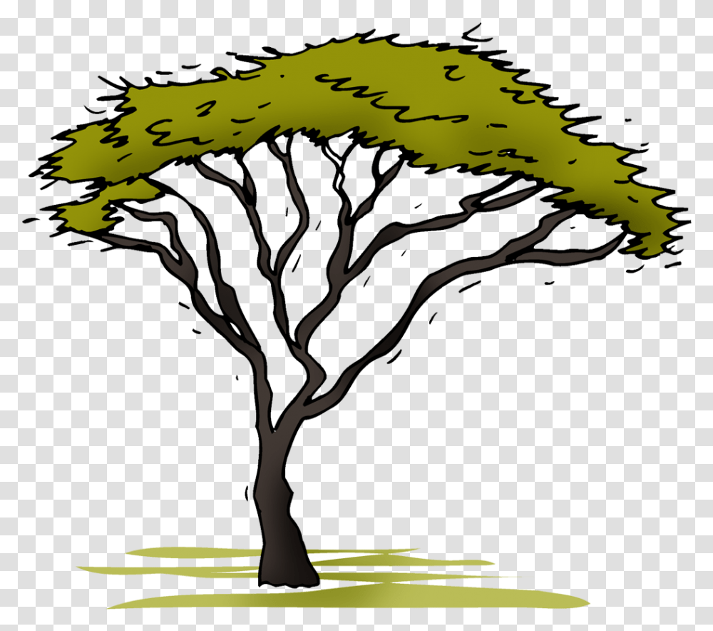 Acacia Acacia Tree Clipart, Plant, Tree Trunk, Horse, Mammal Transparent Png