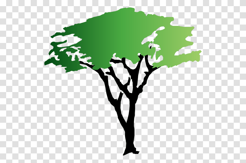 Acacia Tree Clipart, Silhouette, Leaf, Plant, Bird Transparent Png