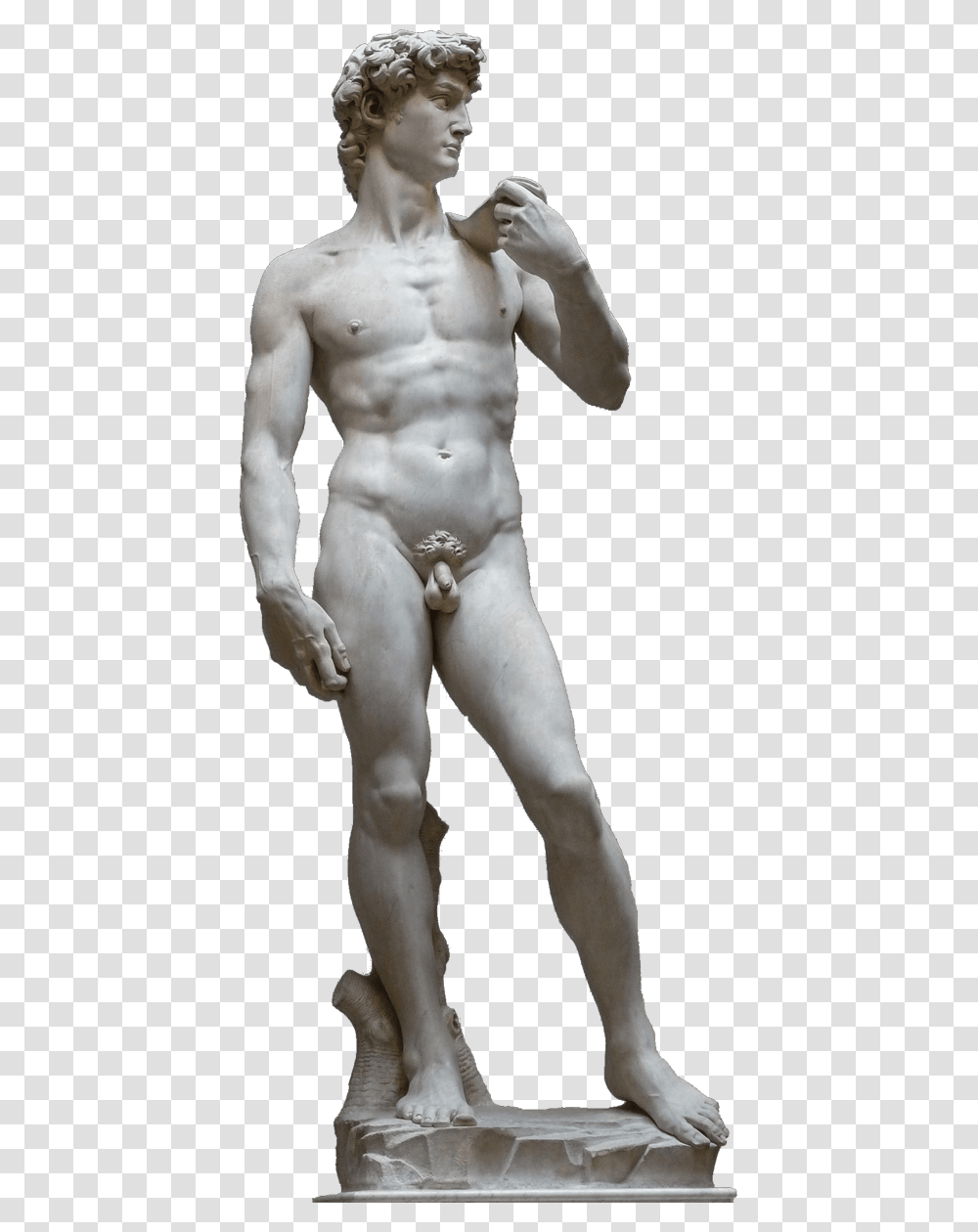 Accademia Di Belle Arti Firenze David Statue, Sculpture, Person, Human, Torso Transparent Png