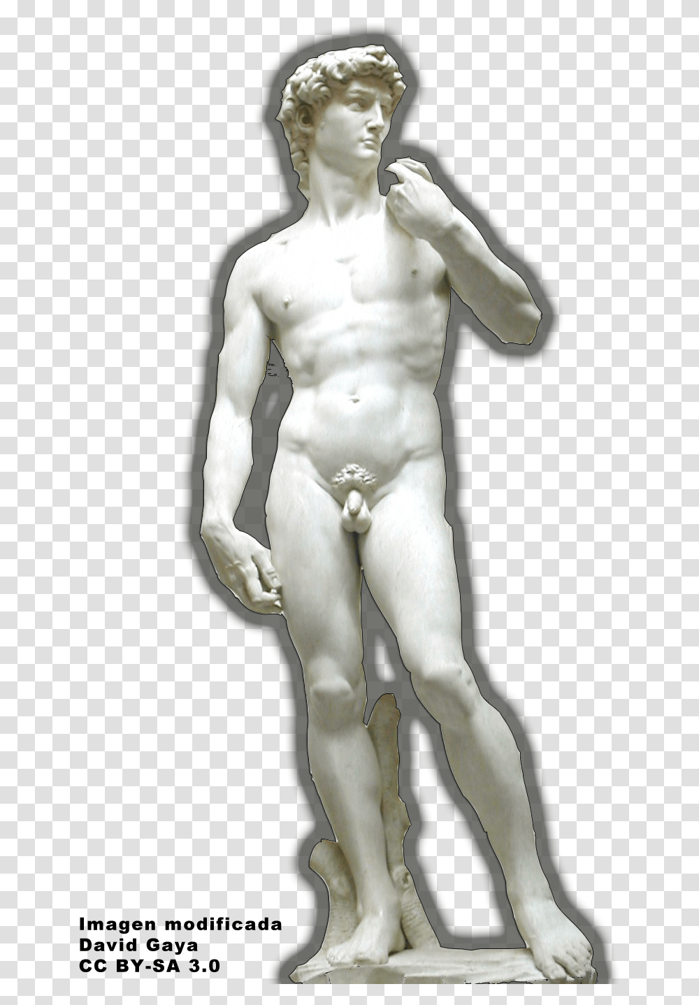 Accademia Di Belle Arti Firenze David Statue, Sculpture, Torso, Person, Human Transparent Png