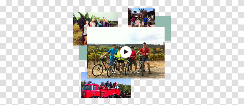 Ace It Bike Tours Sonoma Rental & Wine Mountain Bike, Person, Human, Bicycle, Vehicle Transparent Png