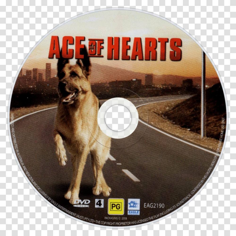 Ace Of Hearts Dvd Disc Image, Dog, Pet, Canine, Animal Transparent Png