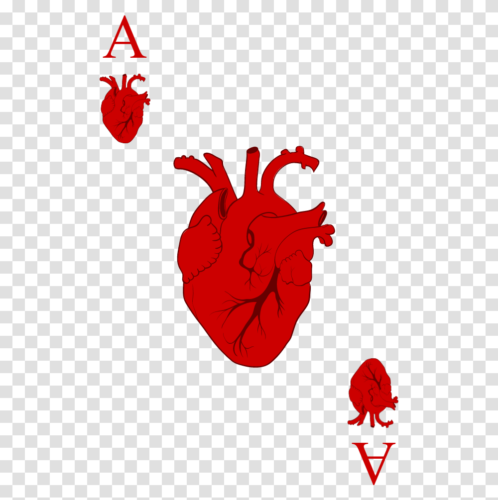Ace Of Hearts, Plant, Food, Hand, Flower Transparent Png