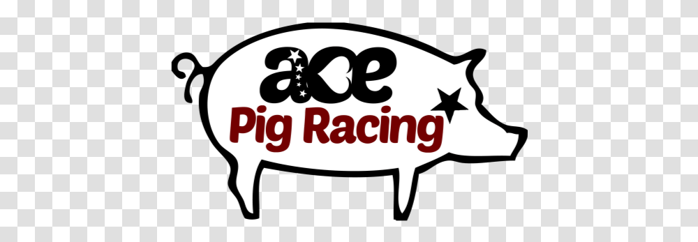 Ace Pig Racing For Nhs Language, Label, Text, Sticker, Logo Transparent Png