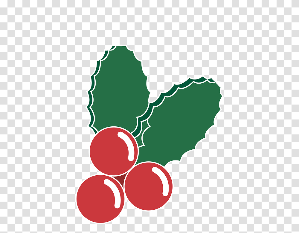 Acebo Ilustracin Vector Navidad Dibujo Rojo Navidad Vector, Label, Leaf, Plant Transparent Png